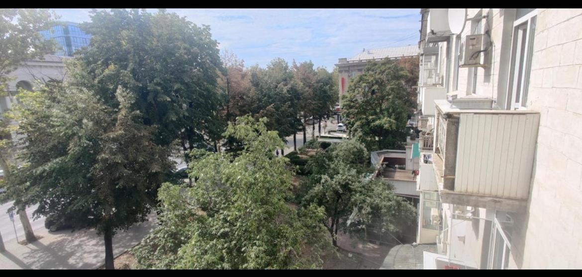 Center Stefan Street 1 Bedroom